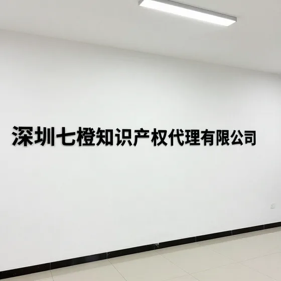 文化传播服务